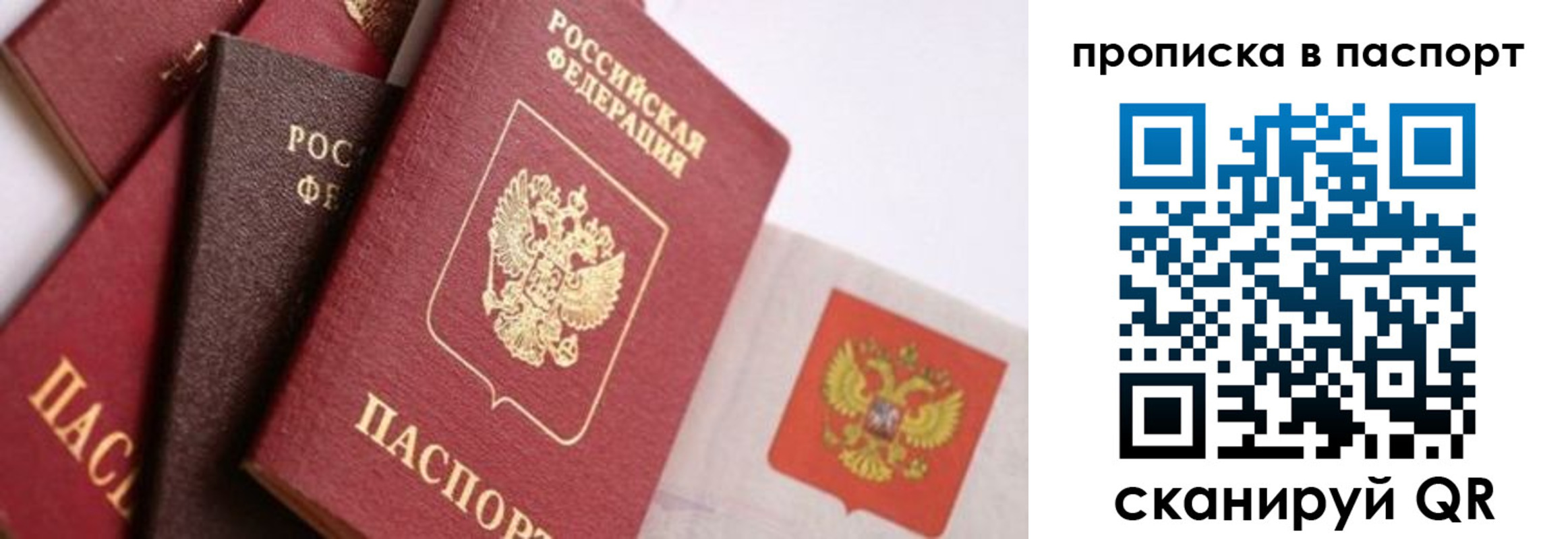 прописка штамп в Кимрах